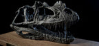 CERATOSAURUS Skull Replica 40 cm