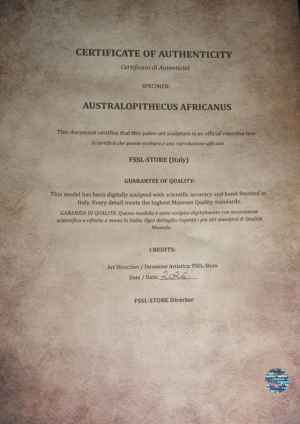 Australopithecus Africanus Skull Replica 1/1