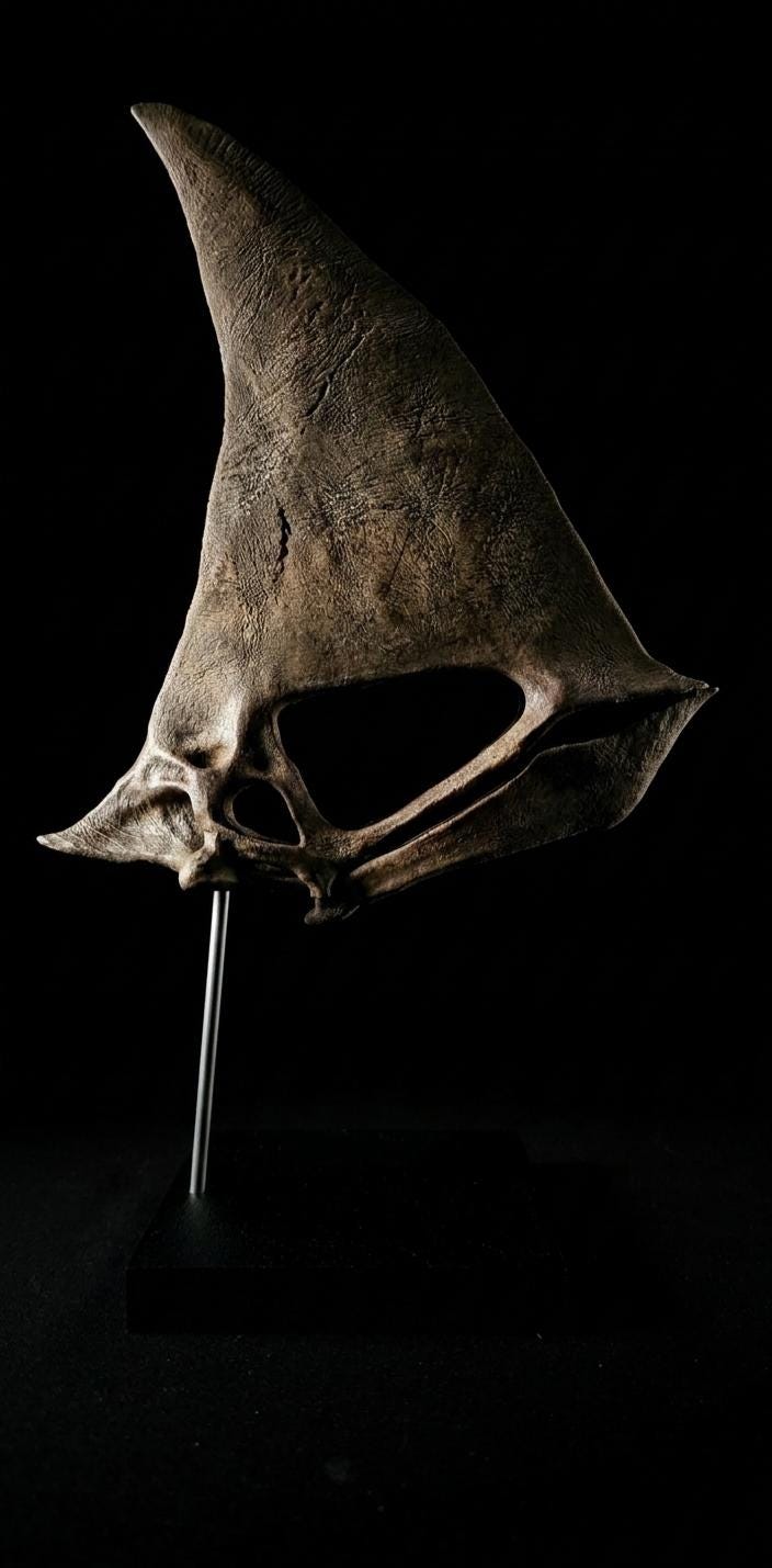 Caiuajara Skull Replica | Museum 30 cm