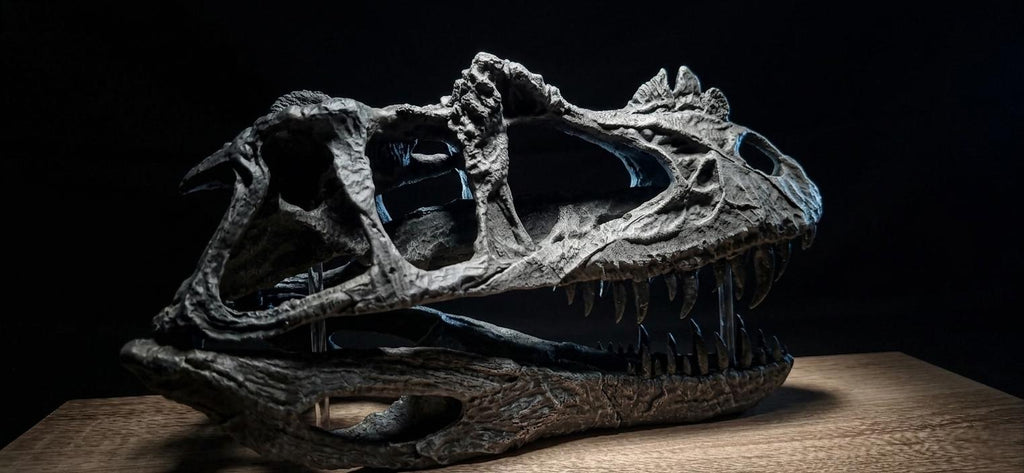 CERATOSAURUS Skull Replica 40 cm