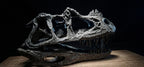 CERATOSAURUS Skull Replica 40 cm