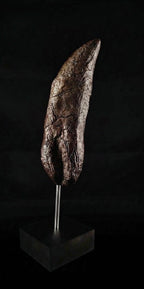 Giant T-Rex Tooth Replica (30cm)