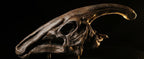Museum-Quality Parasaurolophus Skull Replica 30 cm