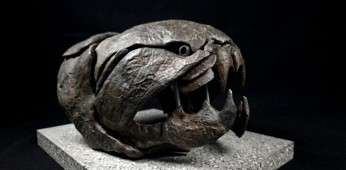 Dunkleosteus Skull Fossil Replica 20 cm