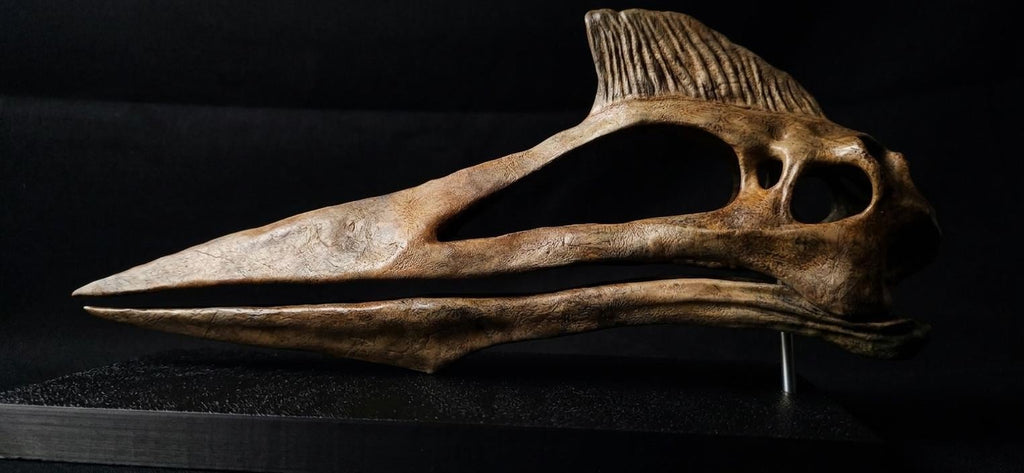 Quetzalcoatlus Skull Replica 30 cm