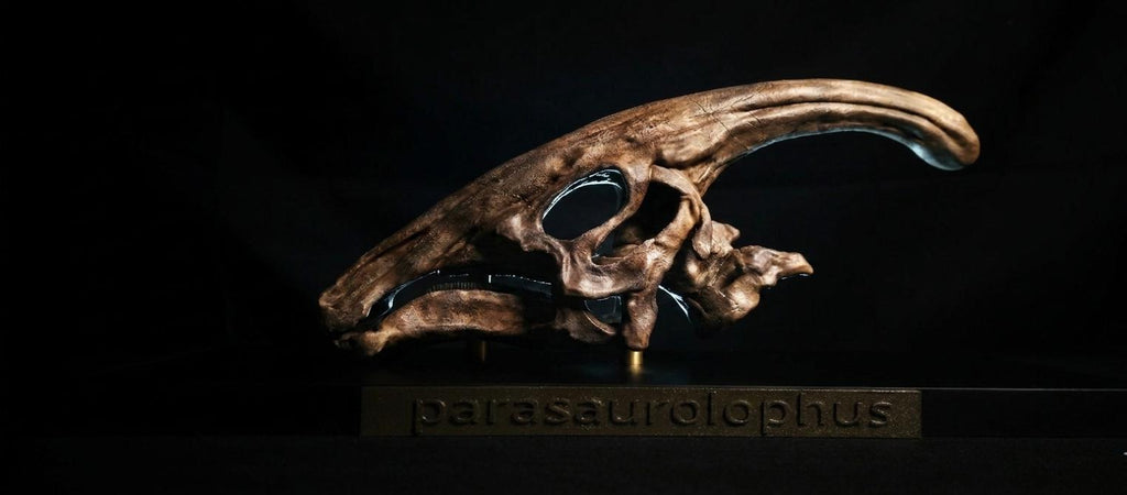 Museum-Quality Parasaurolophus Skull Replica 30 cm