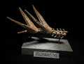 Stegosaurus Tail Replica 22cm