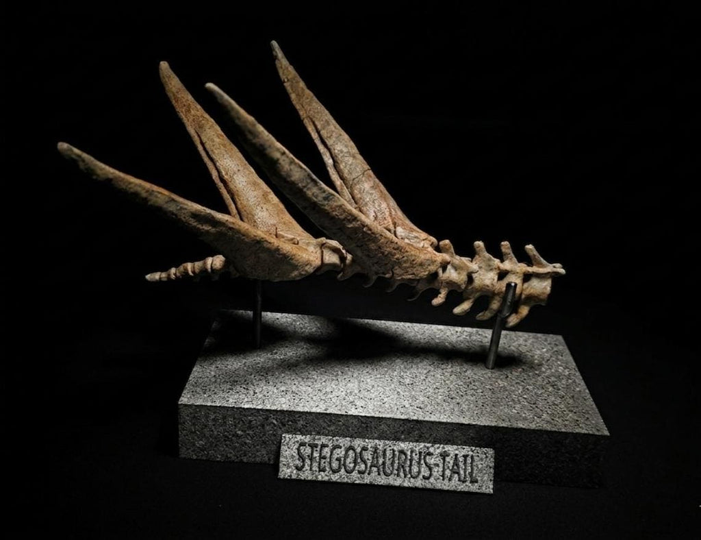 Stegosaurus Tail Replica 22cm