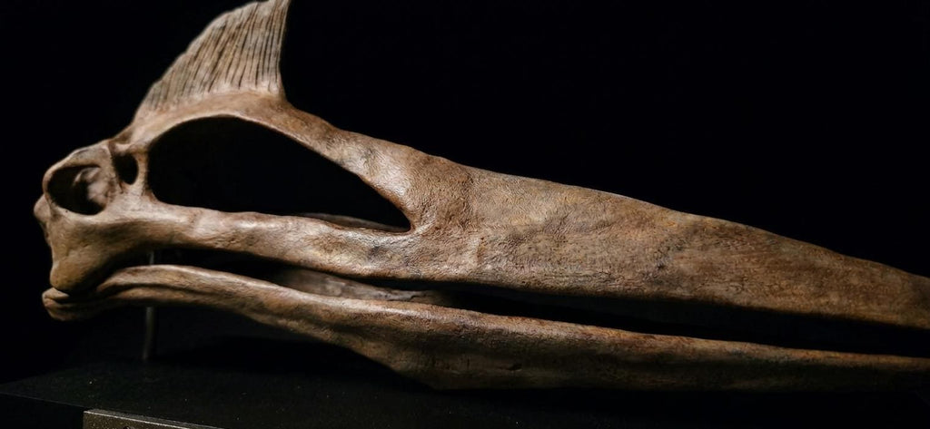 Quetzalcoatlus Skull Replica 30 cm