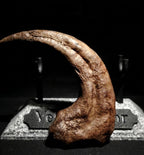 Velociraptor Artiglio | Replica “ Killing Claw “ 17 cm