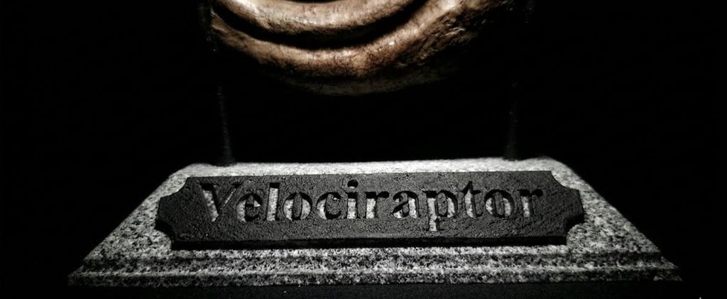Velociraptor Artiglio | Replica “ Killing Claw “ 17 cm