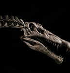 Spinosaurus Aegyptiacus “Swim” | Replica Scheletro Posa Natatoria  (85 cm)