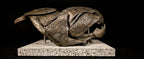 Dunkleosteus Skull Fossil Replica 20 cm