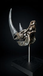 Woolly Rhino | Replica Cranio (25 cm)