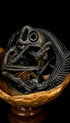 Maiasaura Peeblesorum | Replica Embrione e Uovo 20 cm